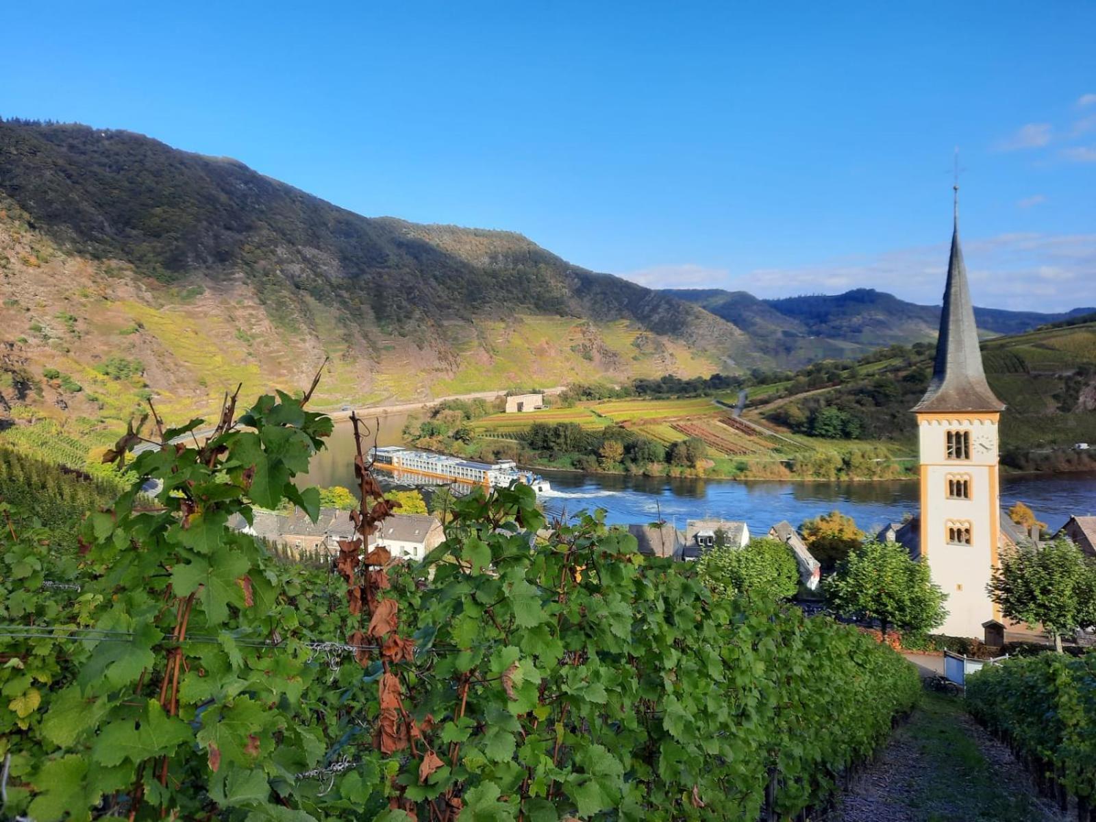 Ferienwohnung Winzerhaus Schenk Neef Exterior foto